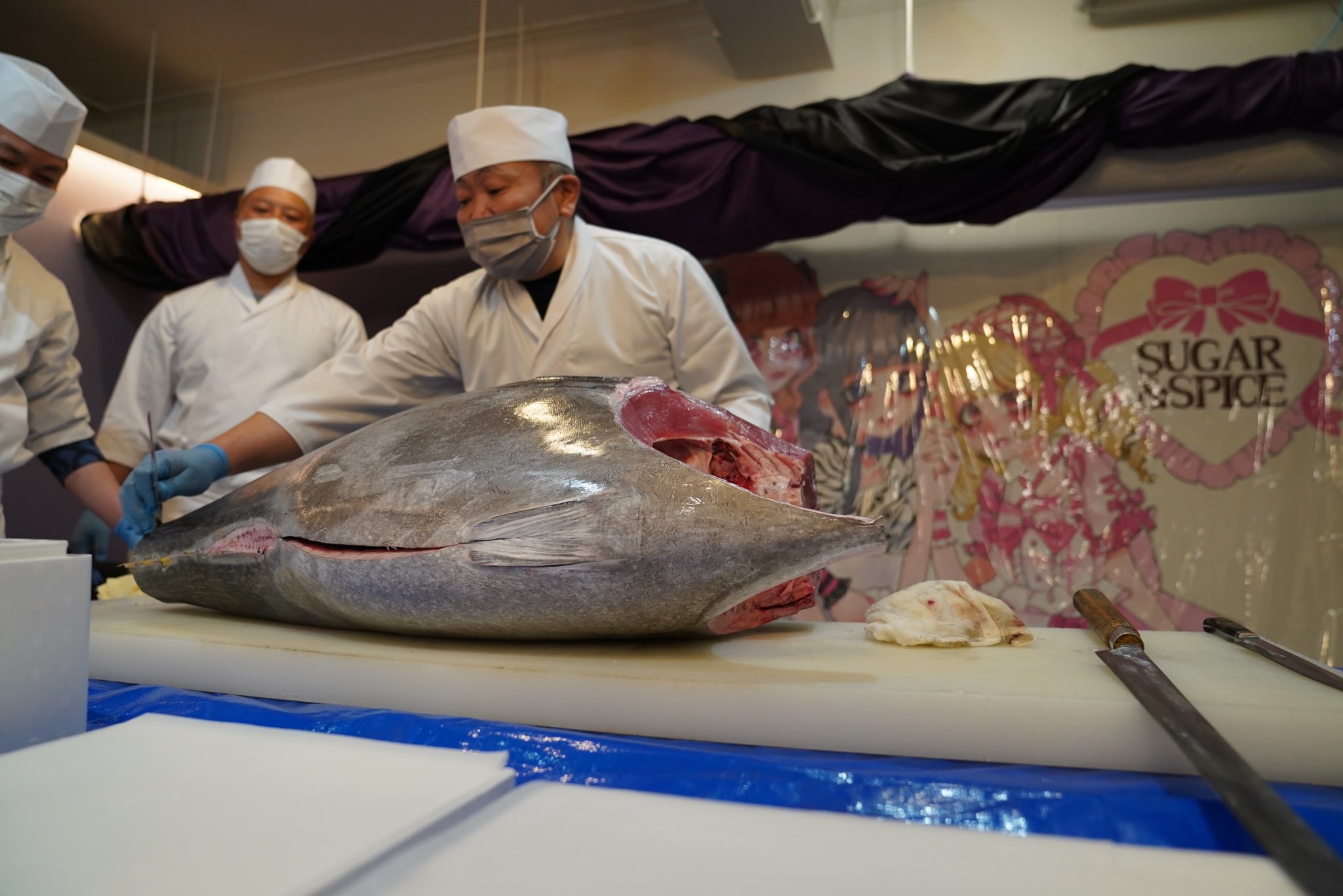 マグロの解体ショーや、リムジンパーティーなど他にはないイベントが沢山!