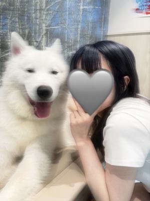 &honey しいな