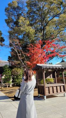 姉キャバ イビル 一希