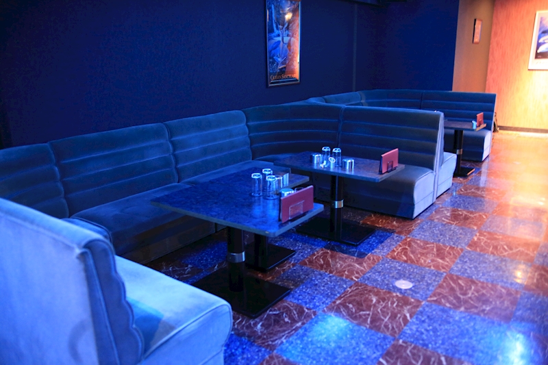 Blue Dolphin